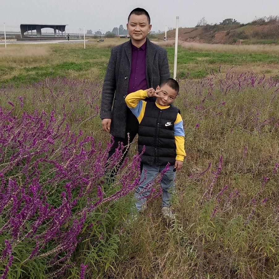 为生活而生存，加油加油