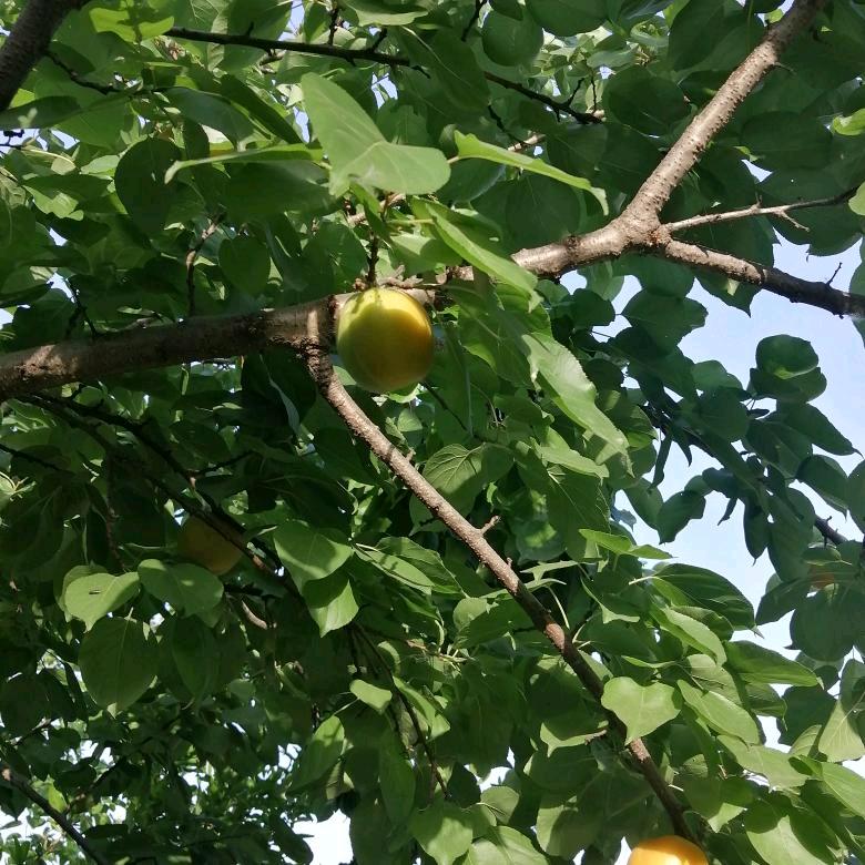 二月龙.64年🐉🐉🐉