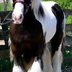 用户2629326711513木易杨