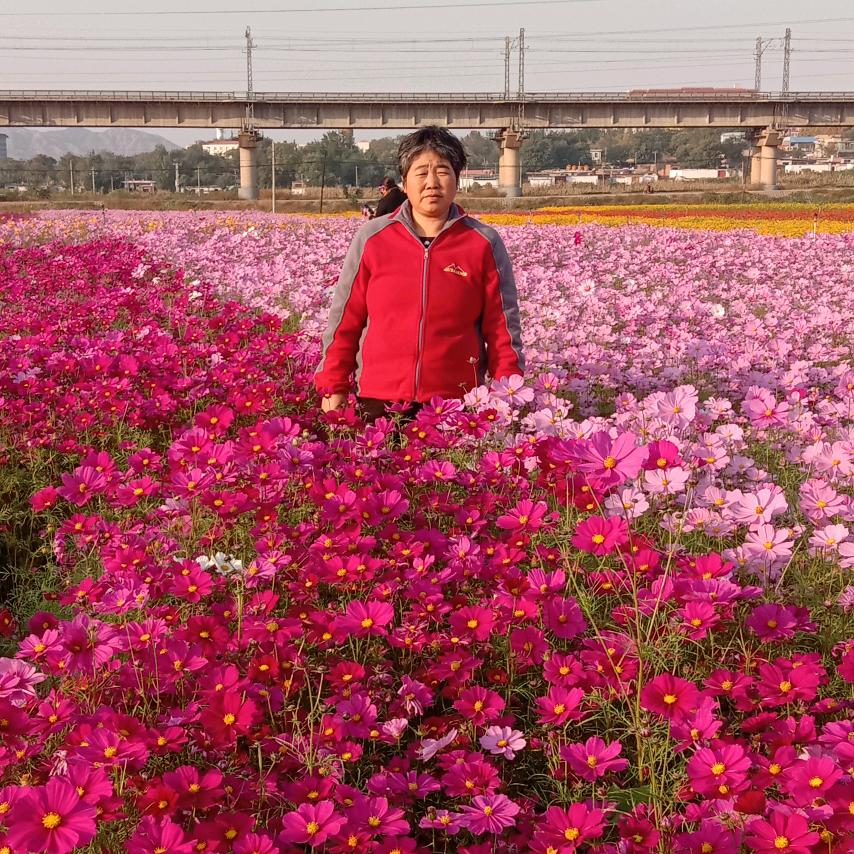 闫爱缺