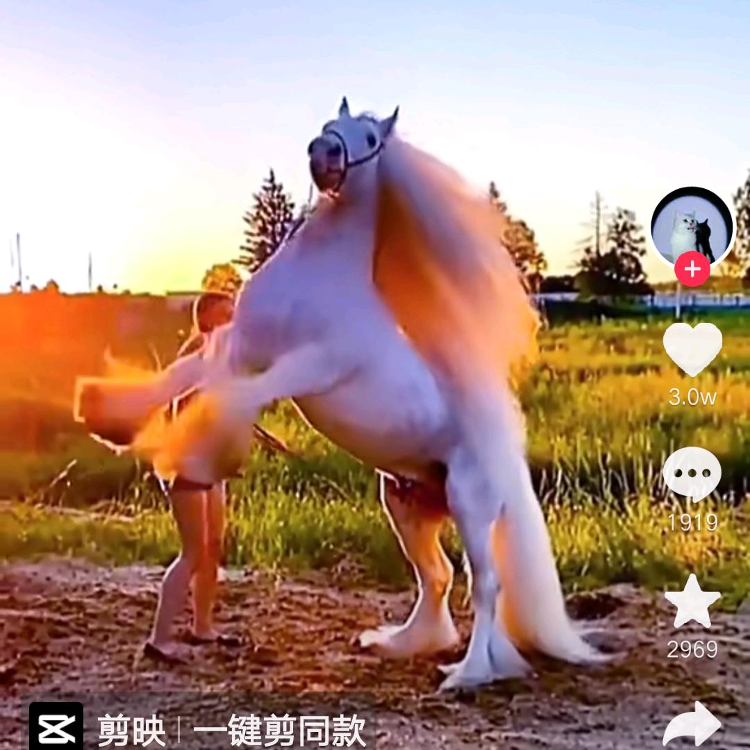 知足常乐