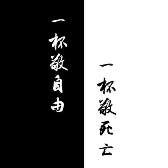 骑破单缸的小杨同学