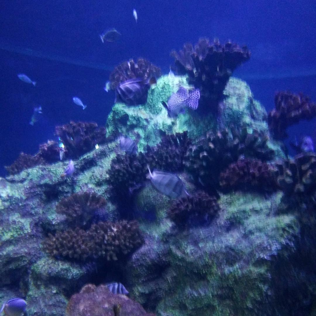 ❄️壹   拾 ❄️