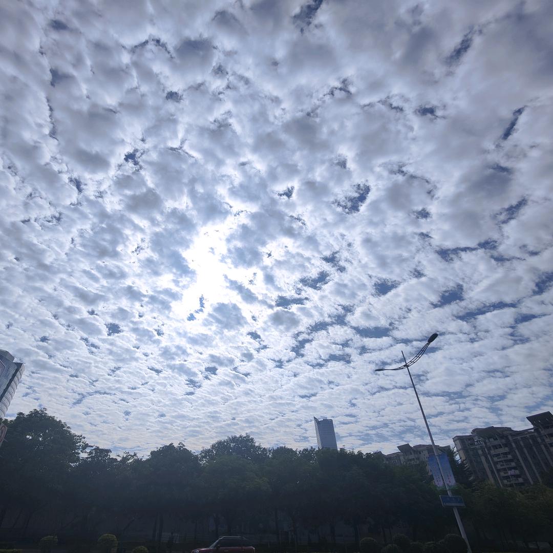 何教兽