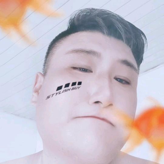 习惯了孤独