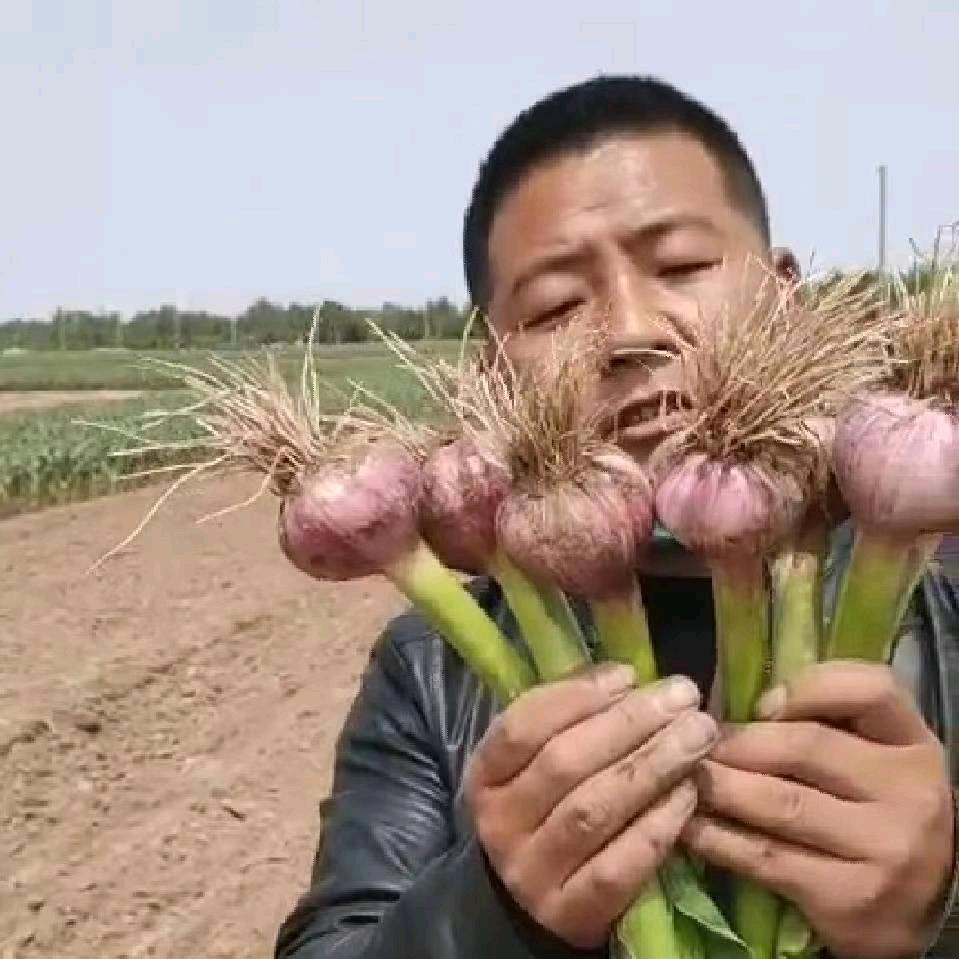 忠义