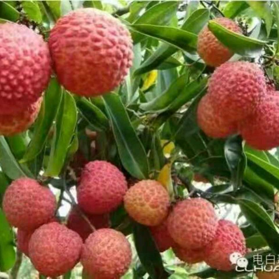 老地方见