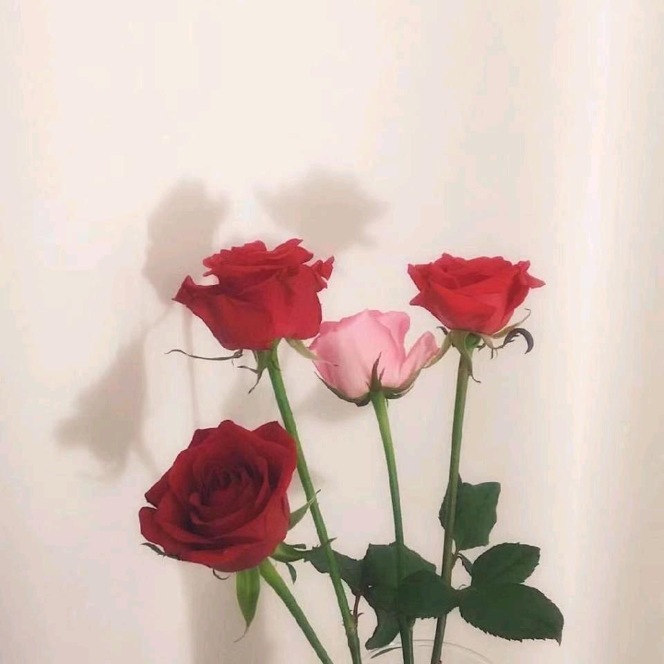 龙群