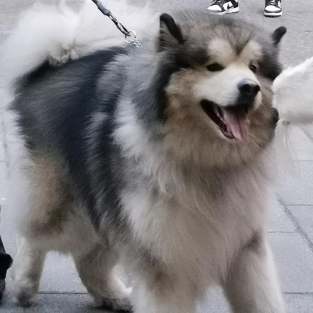 稻草人～～