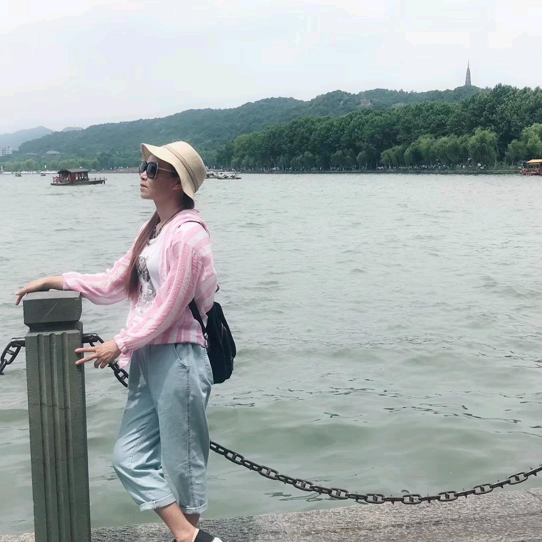 橄榄树