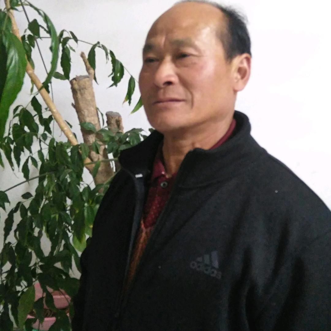 许传宏评L柏式