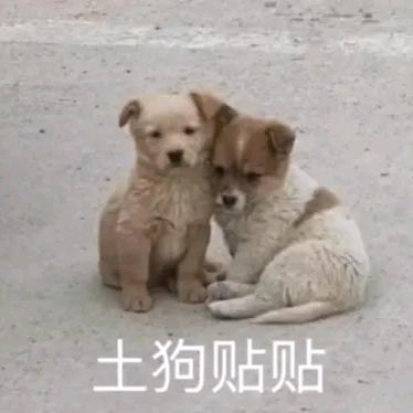 42度福灵剂