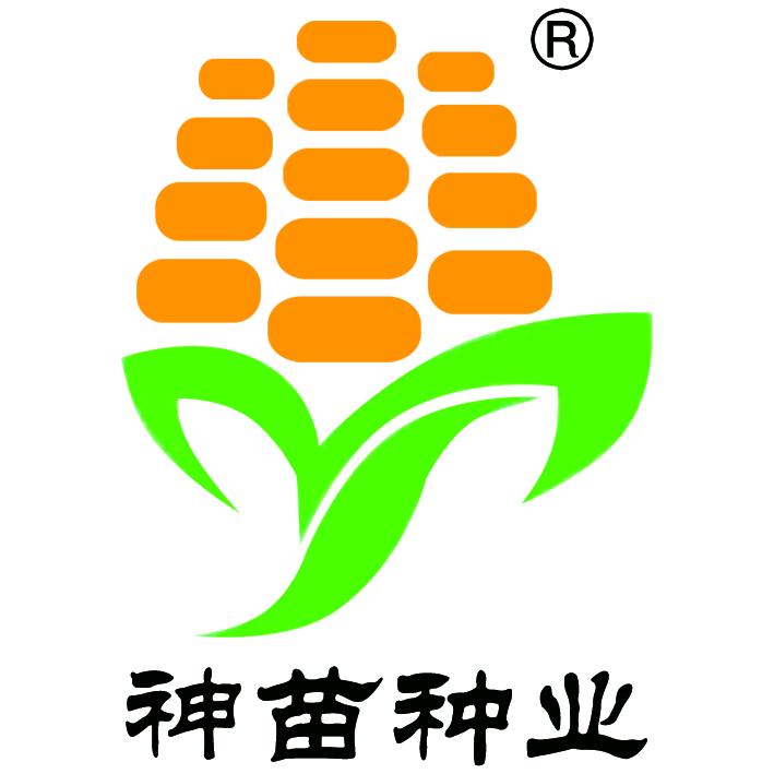 甘肃神苗种业有限责任公司