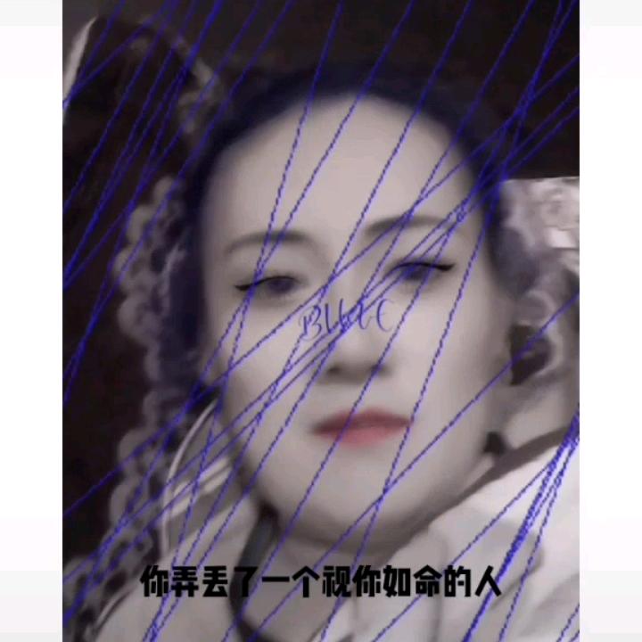 飞扬。