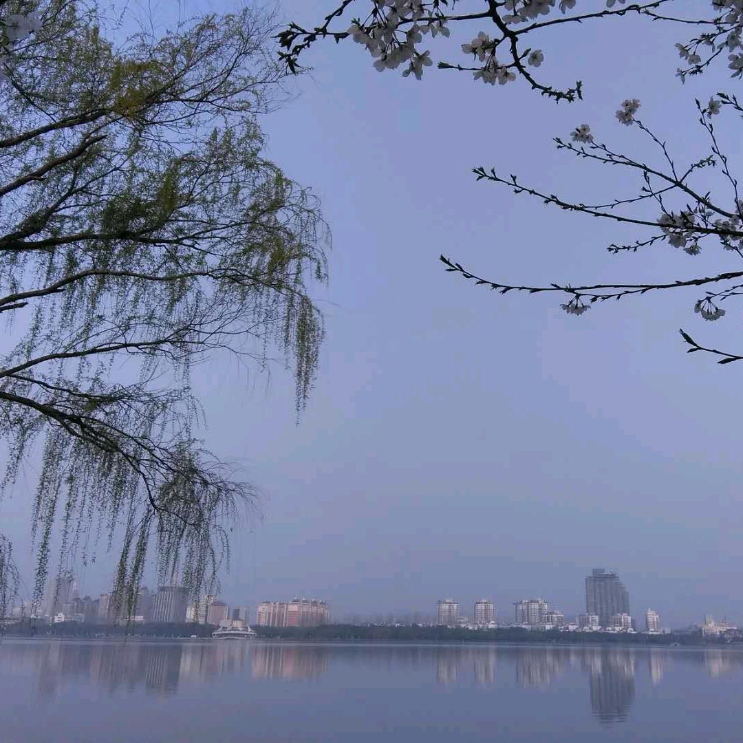 唯美~