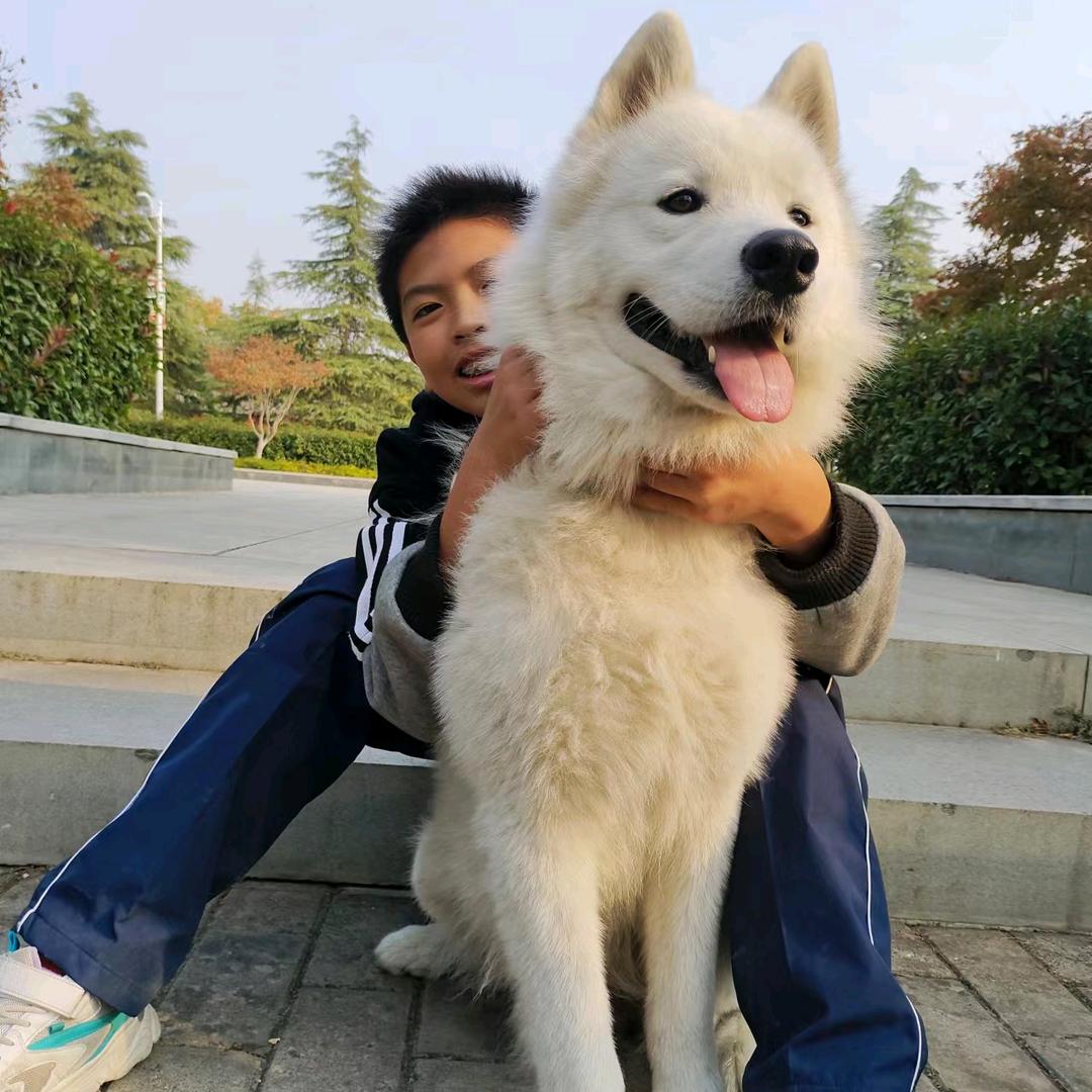 丁丁(