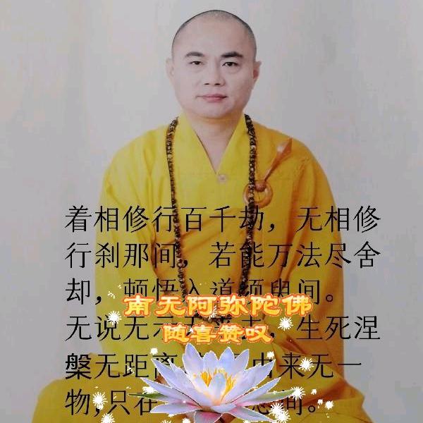 慧律法雨✨