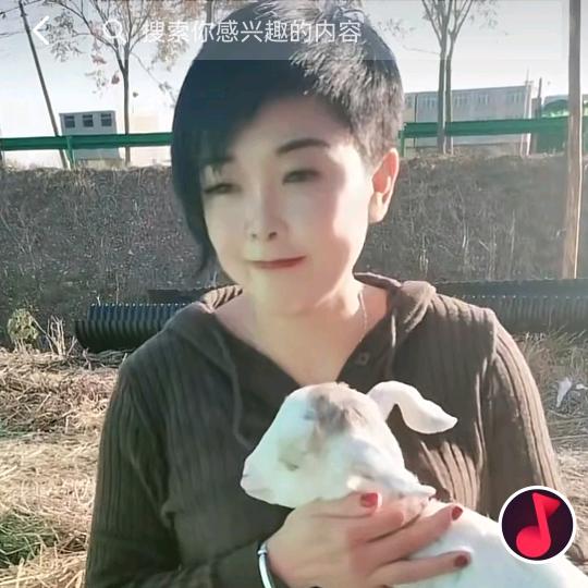 单身兰姐姐