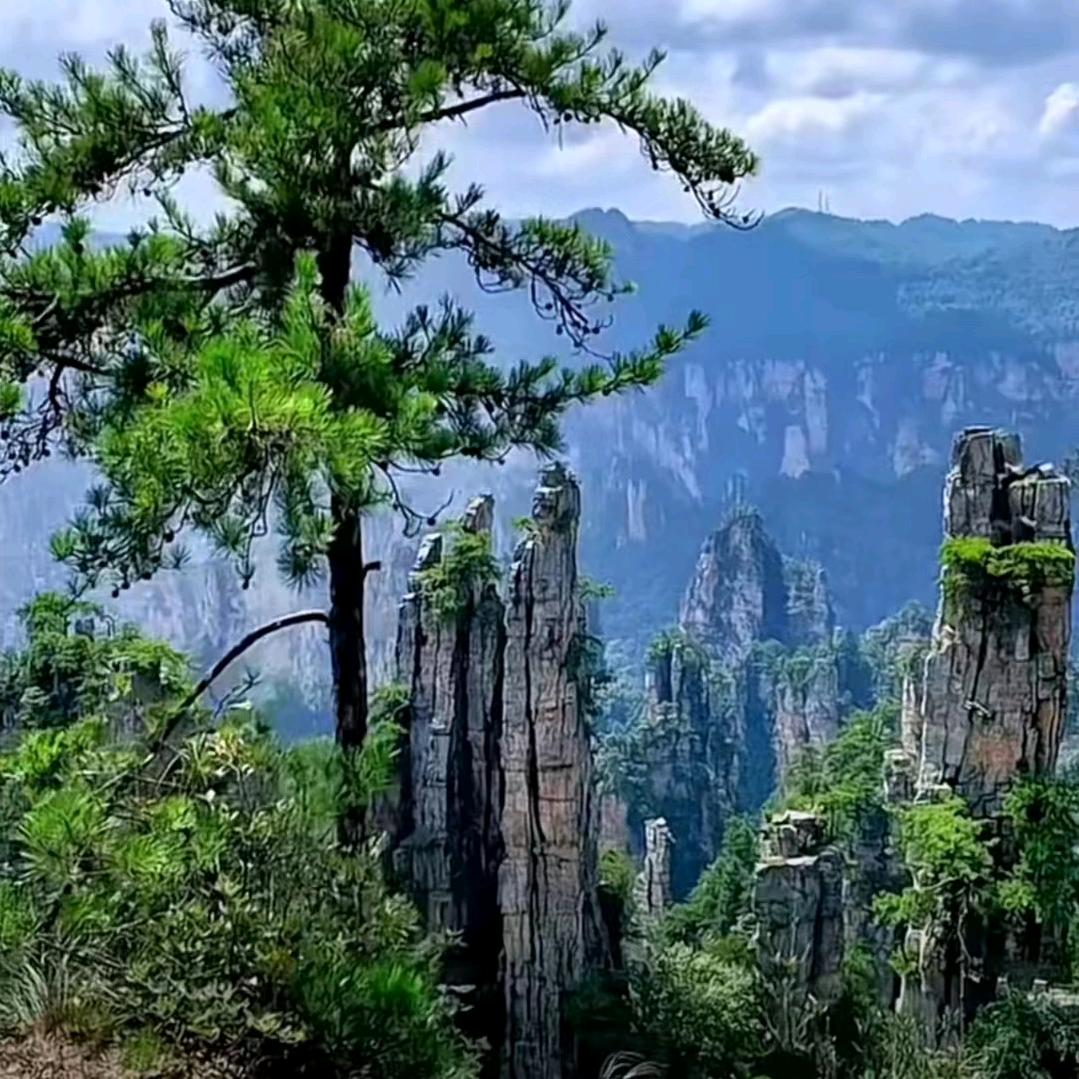 忆乡