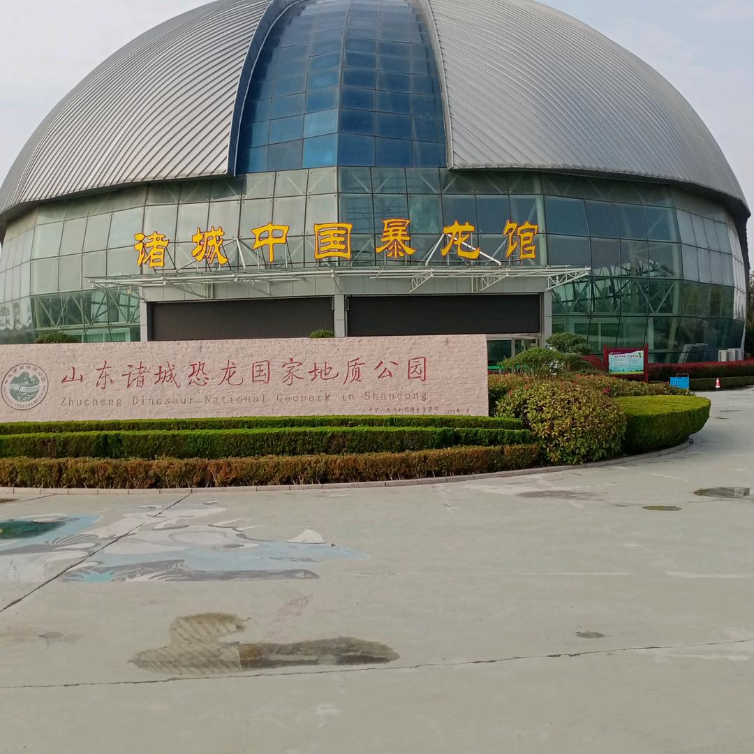 亲回顾