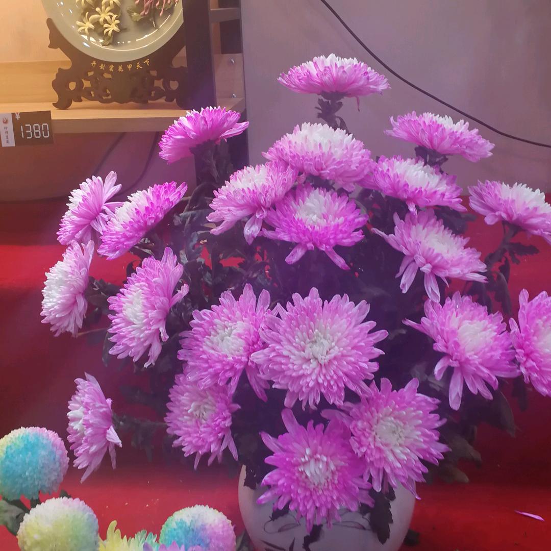 用户7396828209056