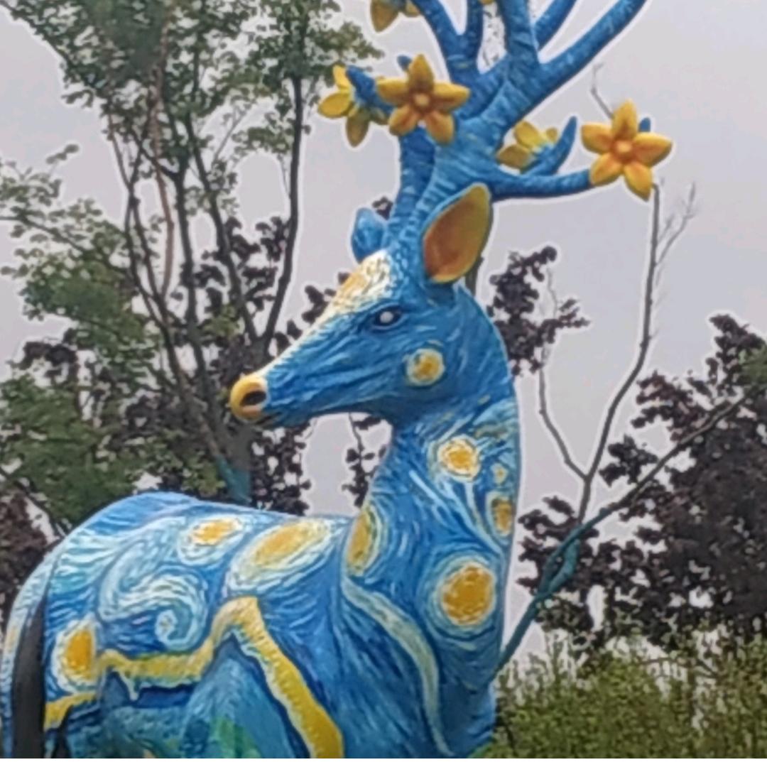 境随心变