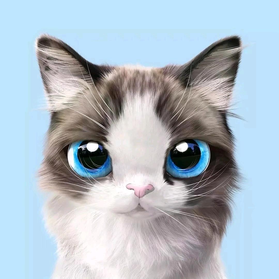 🚗Big🐱🐱แมวตัวใหญ่