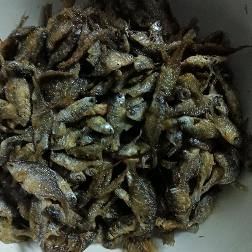 王哥生活在农村