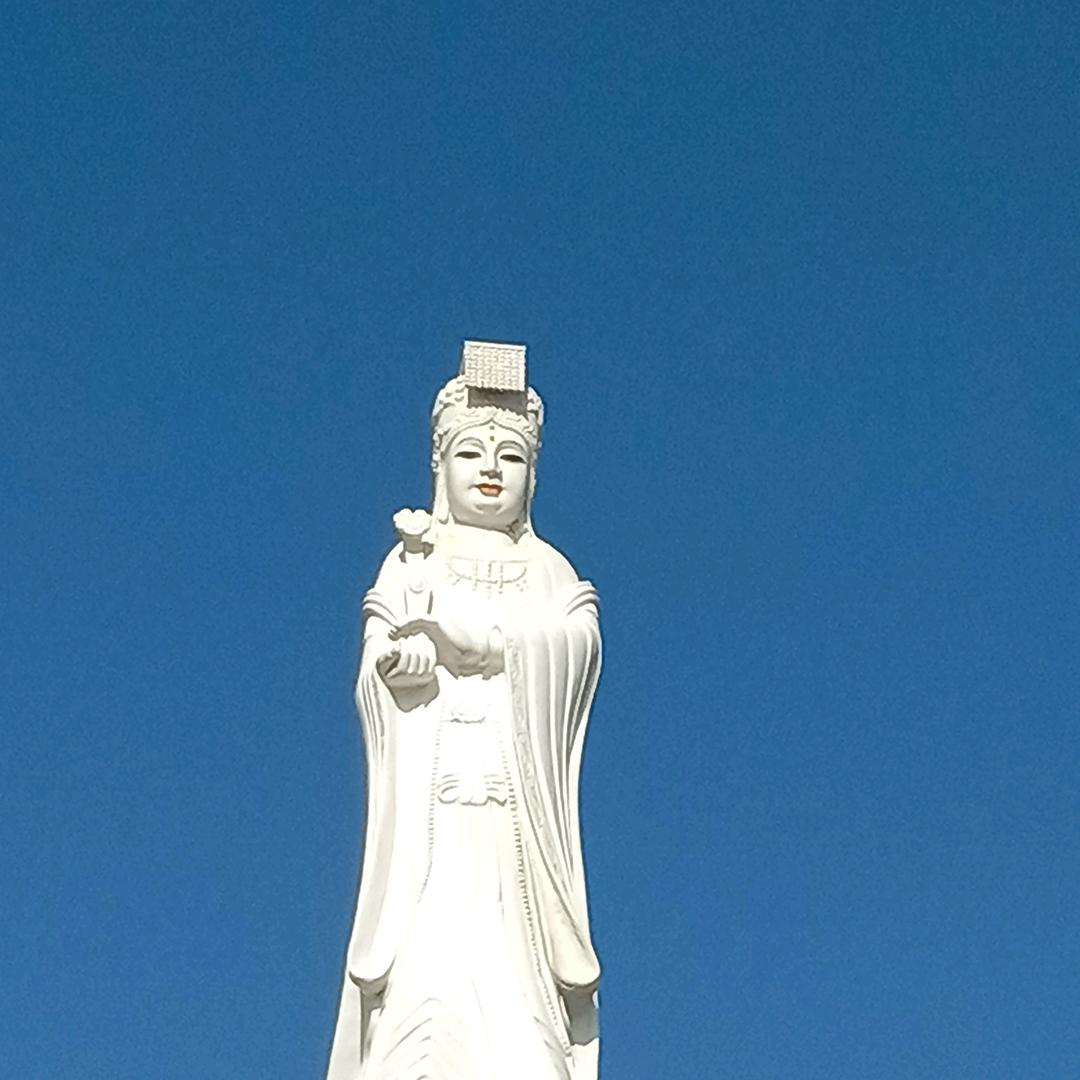 有你陪伴