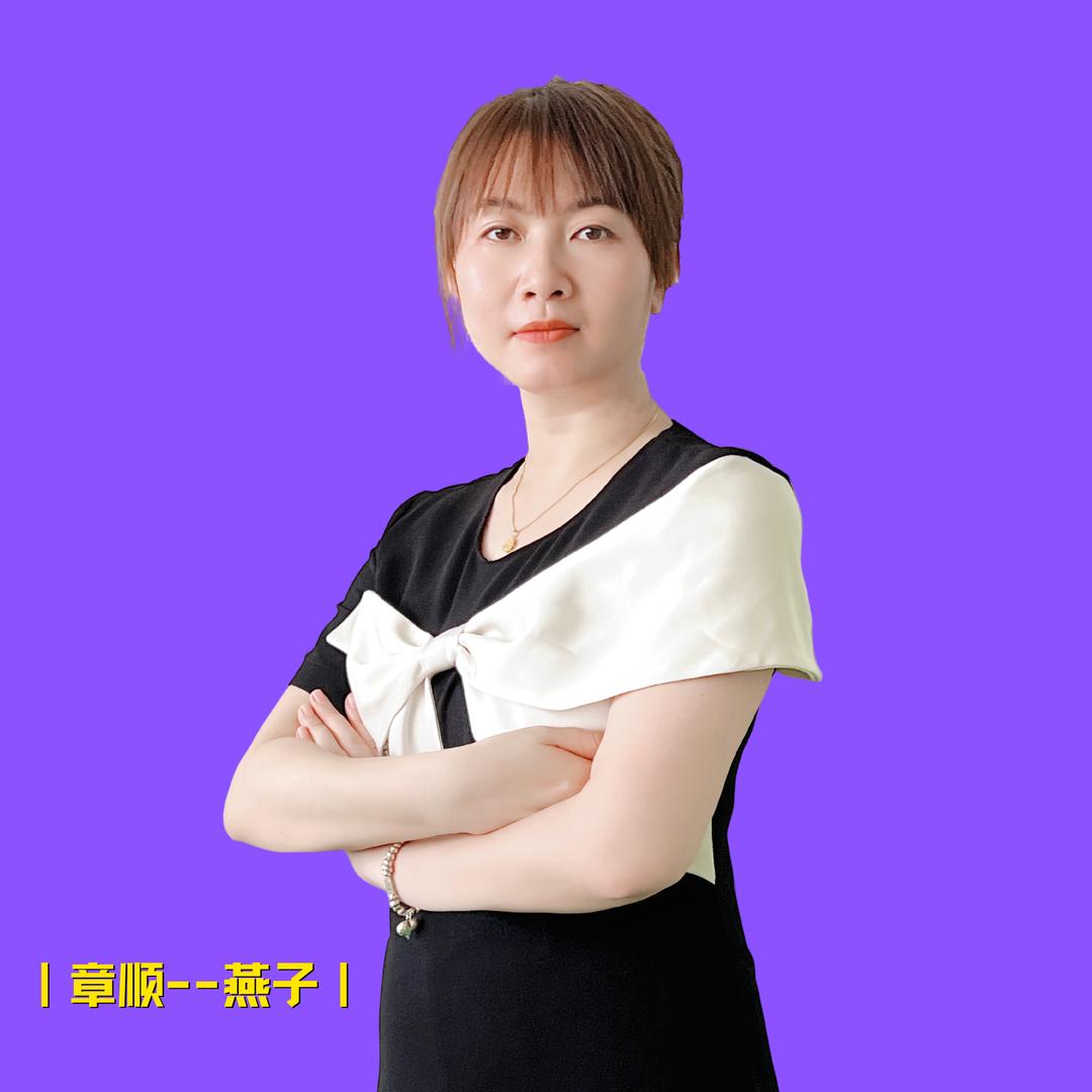 江龙针车-燕子