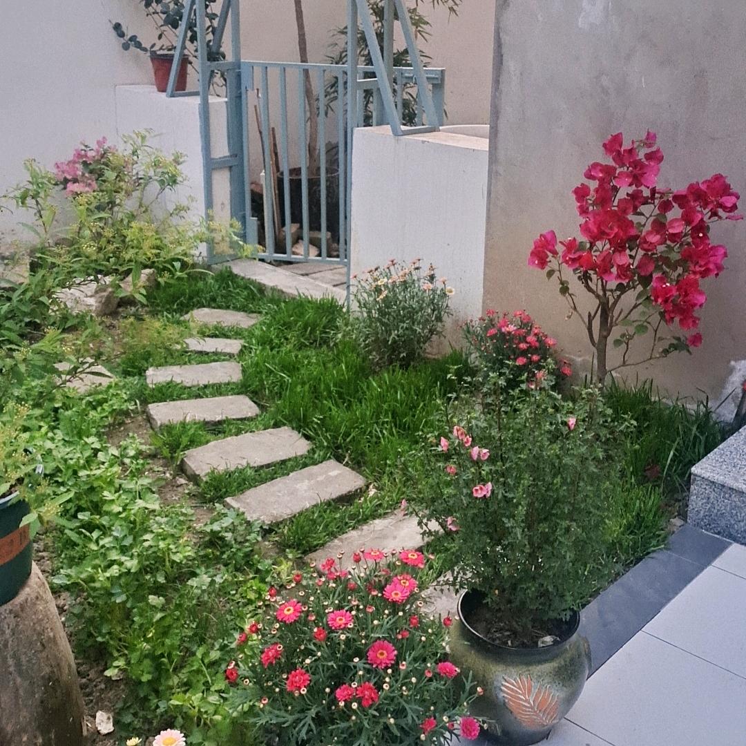 红姐小院(每天上午9点左右直播)