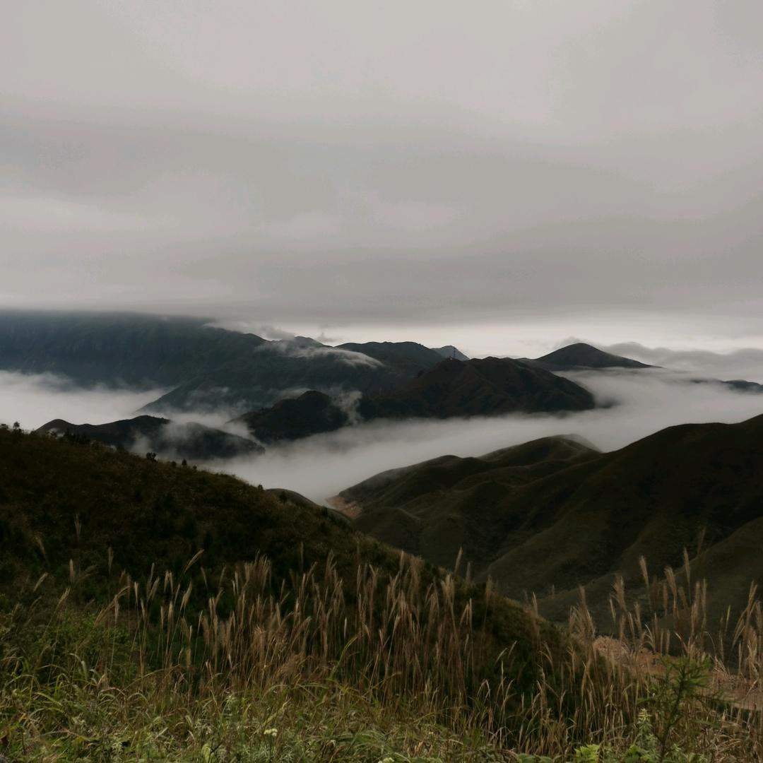 @萍🌸🌸🌸🍀🍀🍀