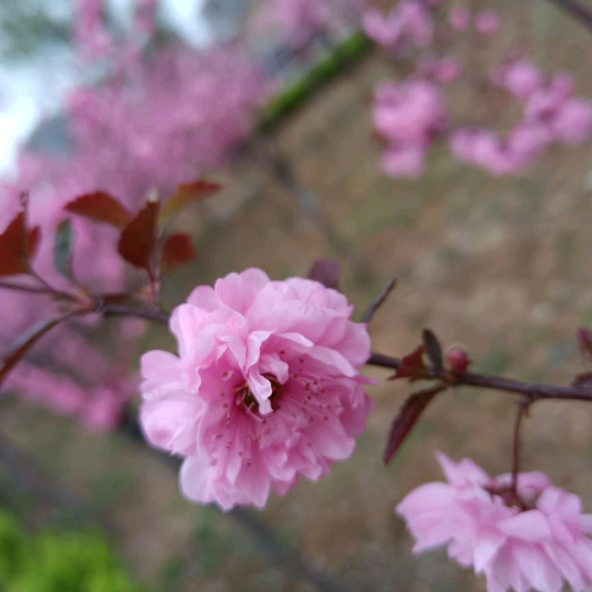 希望再次遇见你