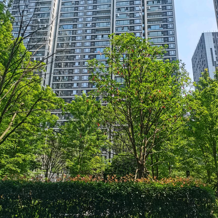 钱吉林
