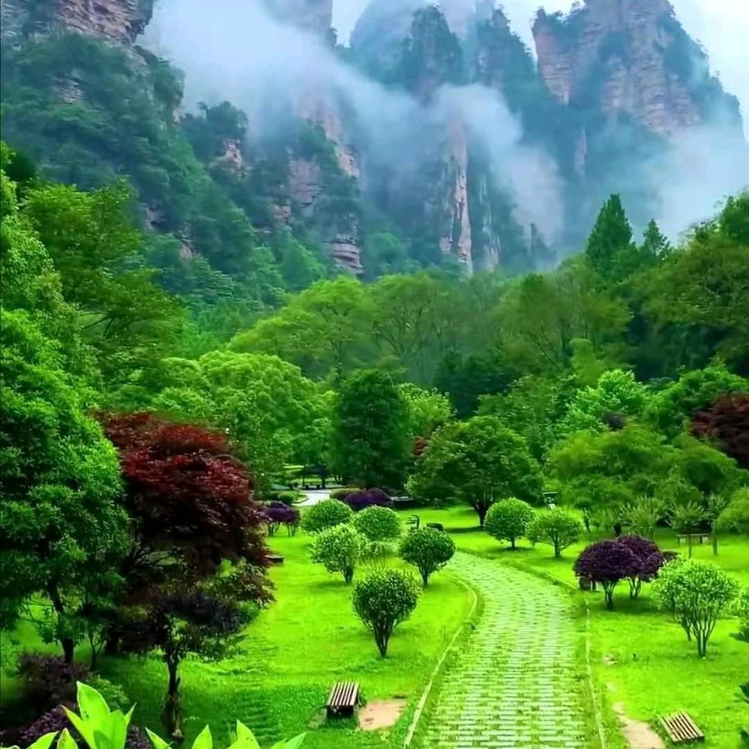 BA哟特否