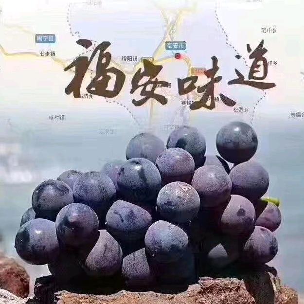 新愿十理想