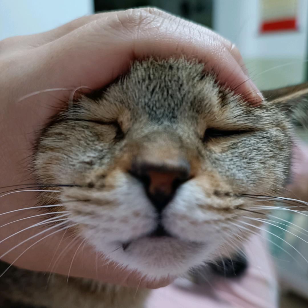 暴富的CC!