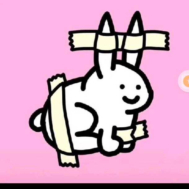 小扫子（接淘宝代下）