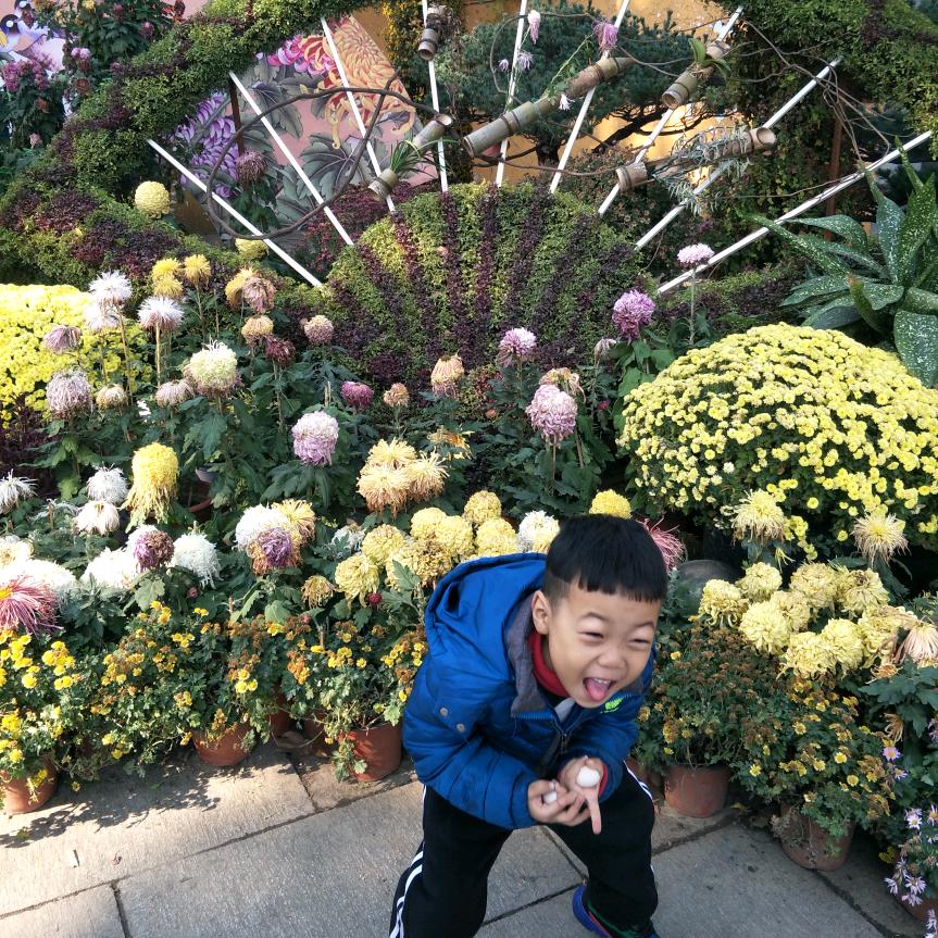自由自在