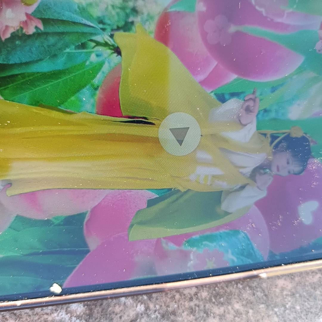 ∫风花