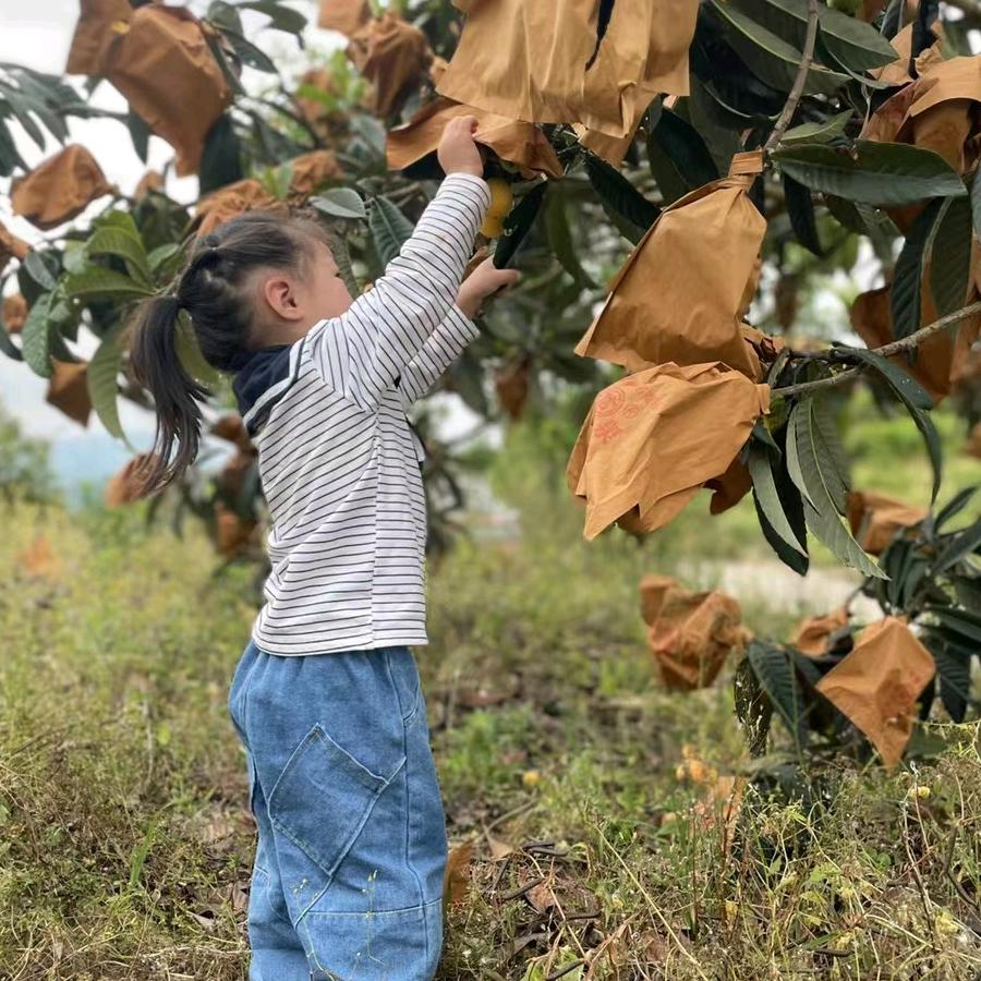 贵州启辉特产店