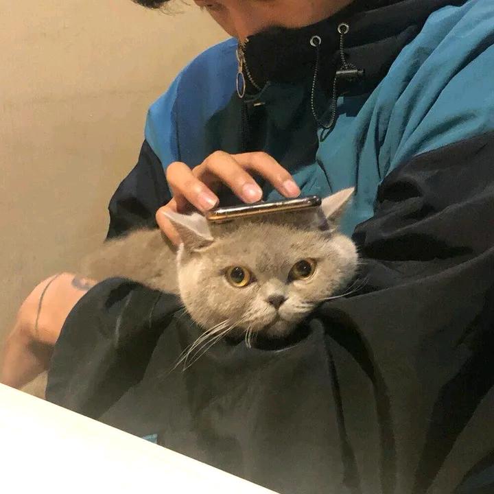 张泽中