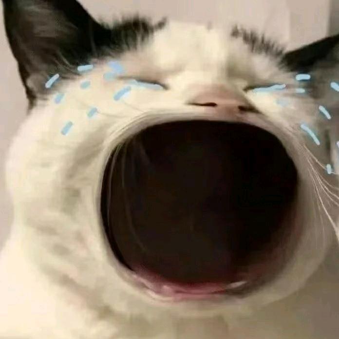 亲爱的,我会弯腰