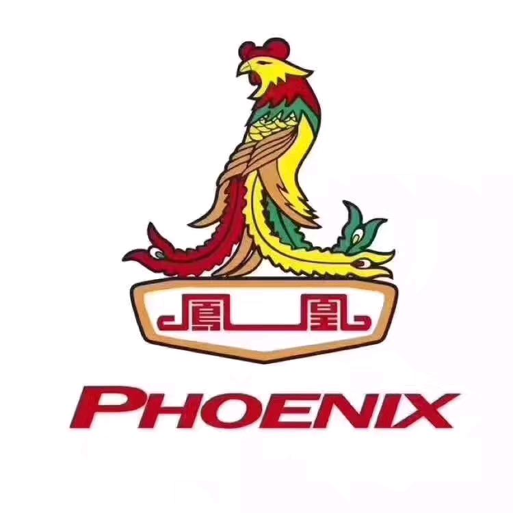 莘县金马童车