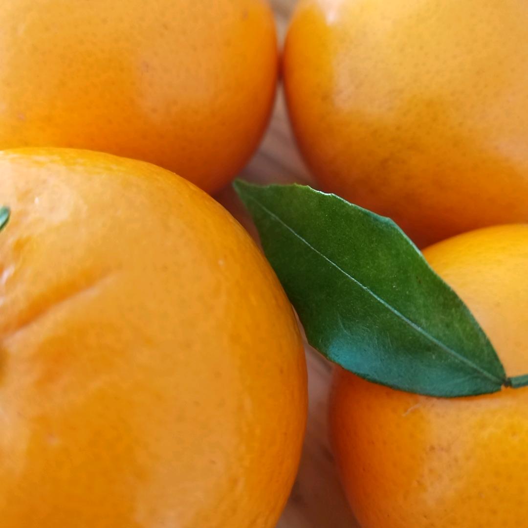 木子，很高兴认识你