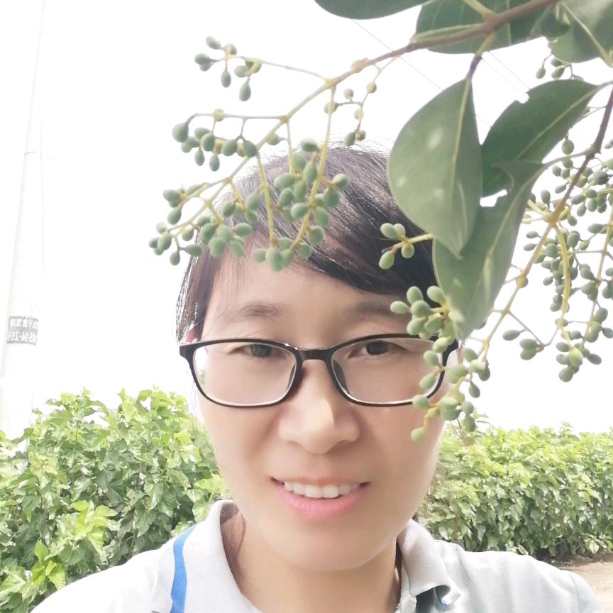 圆梦姐
