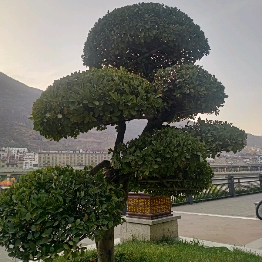 开心每天