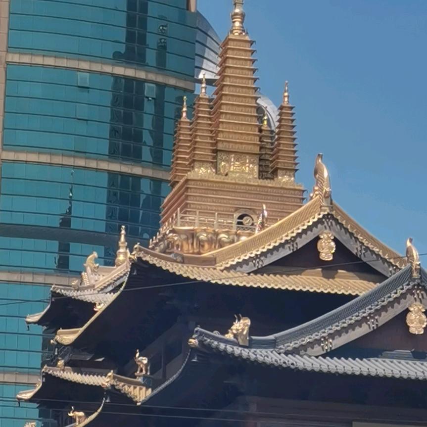 豫H在沪流浪