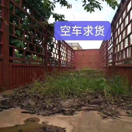 鱼