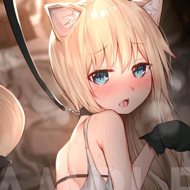 鸭酱
